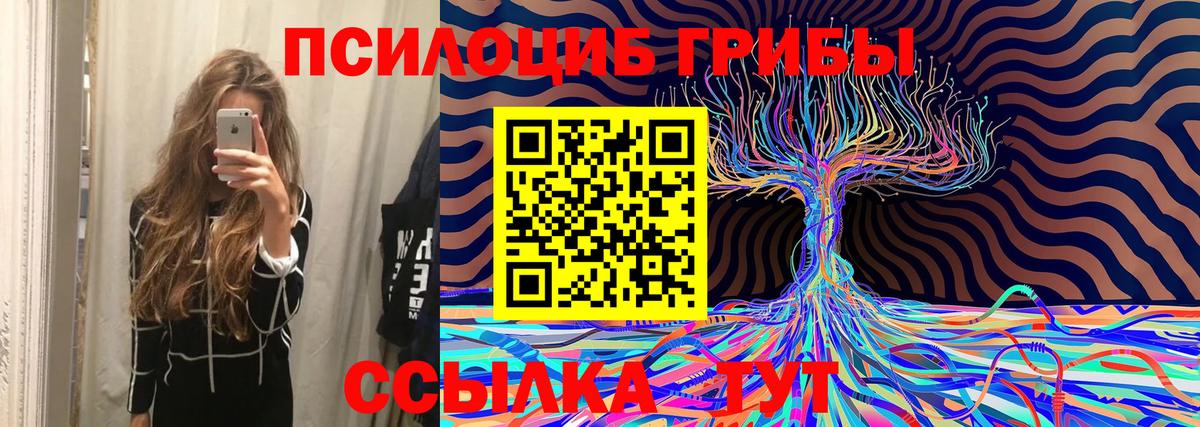 Галлюциногенные грибы мухоморы  Вход с VPN  Елец 