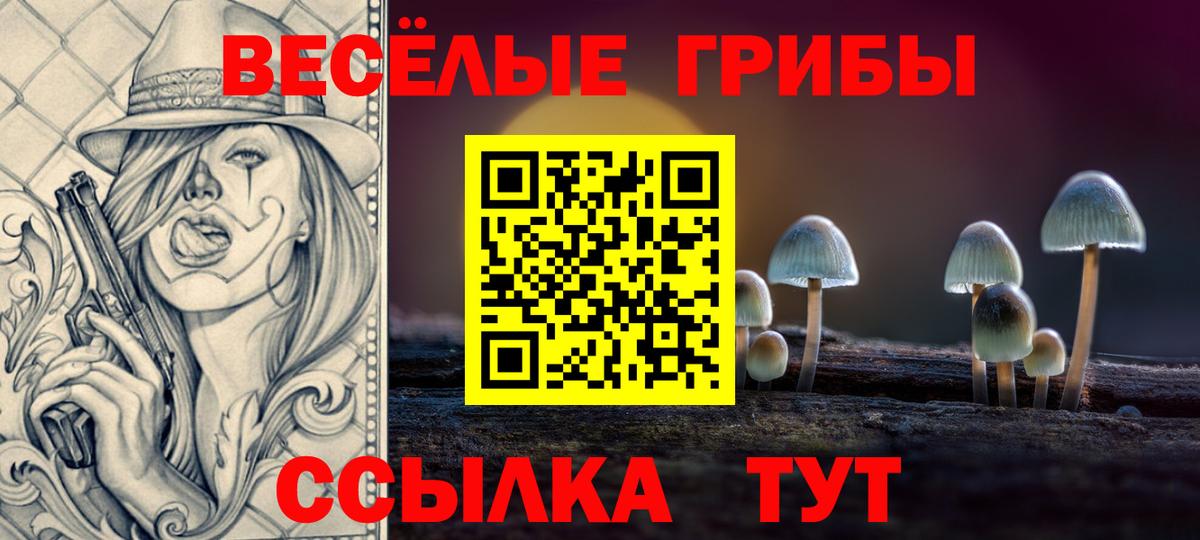 Псилоцибиновые грибы MAGIC MUSHROOMS Елец